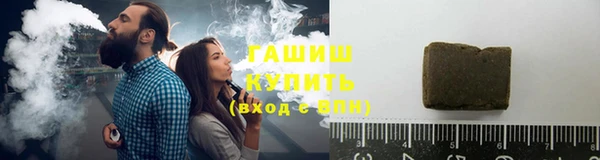 молекула духа Вяземский